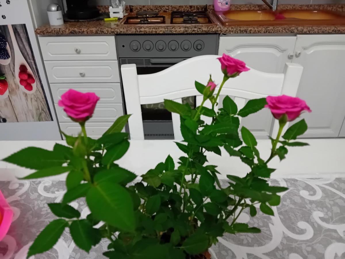 Casa Passamonte Apartment Palermo Ngoại thất bức ảnh